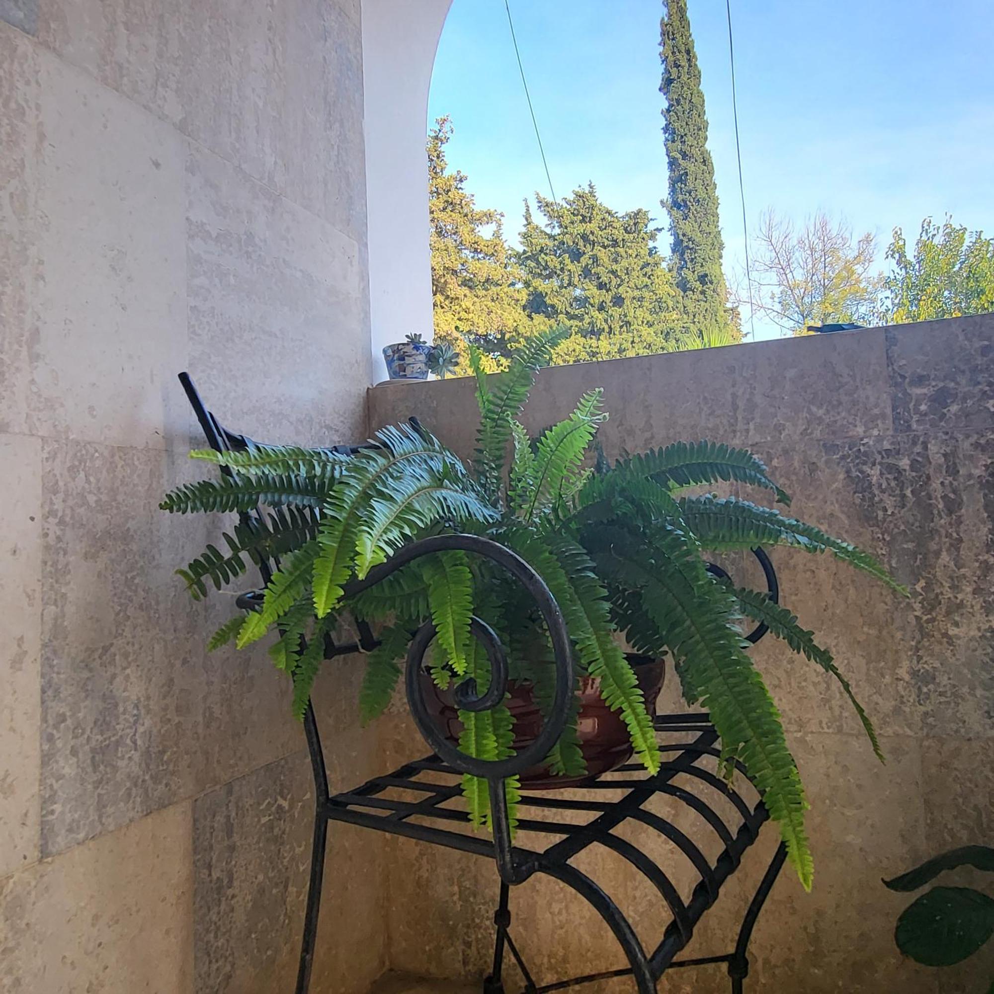 מלג'ין Studio Apartman Sa Pogledom Na More מראה חיצוני תמונה